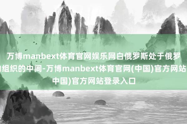 万博manbext体育官网娱乐网白俄罗斯处于俄罗斯和北约组织的中间-万博manbext体育官网(中国)官方网站登录入口