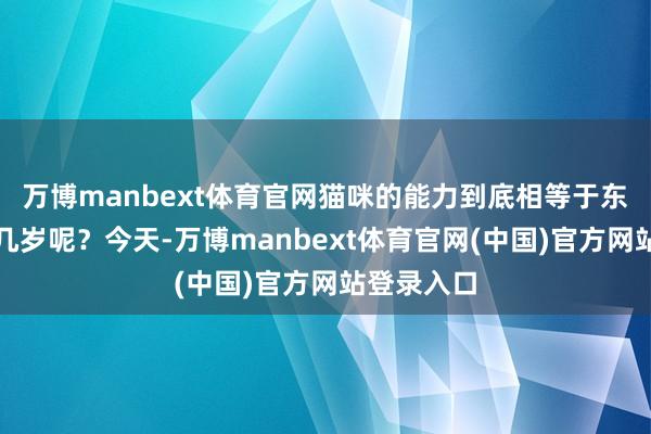 万博manbext体育官网猫咪的能力到底相等于东说念主的几岁呢？今天-万博manbext体育官网(中国)官方网站登录入口