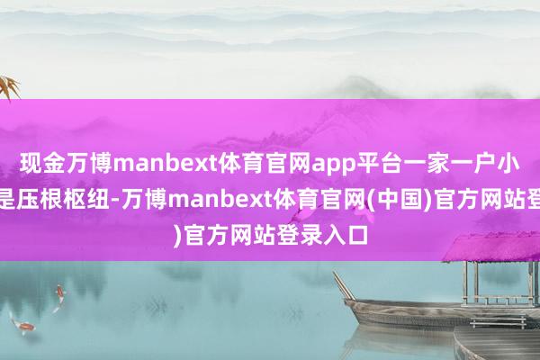 现金万博manbext体育官网app平台一家一户小农坐褥是压根枢纽-万博manbext体育官网(中国)官方网站登录入口