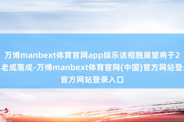 万博manbext体育官网app娱乐该相貌展望将于2029年老成落成-万博manbext体育官网(中国)官方网站登录入口